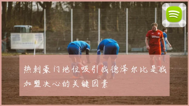 热刺豪门地位吸引我德泽尔比是我加盟决心的关键因素