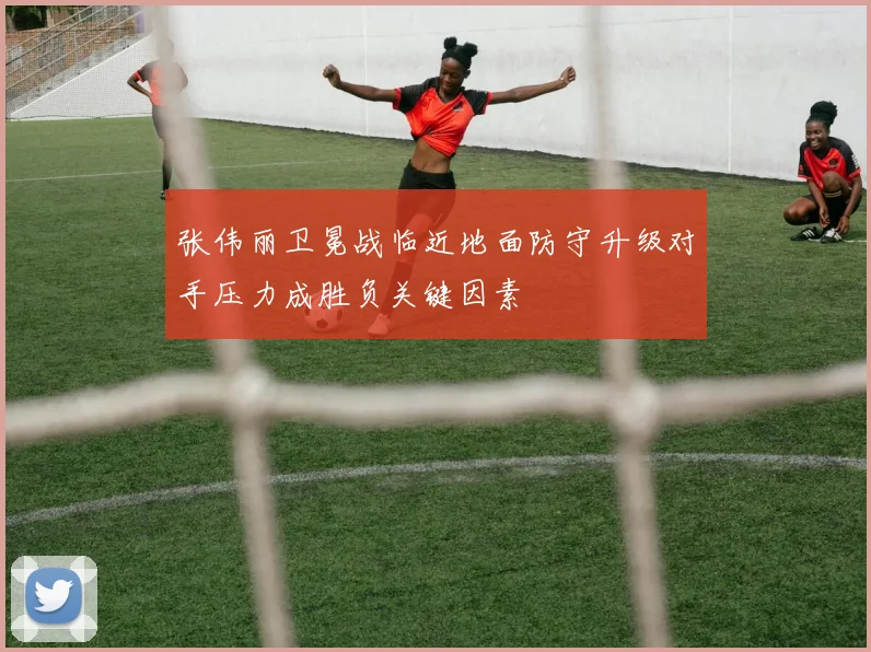 张伟丽卫冕战临近地面防守升级对手压力成胜负关键因素